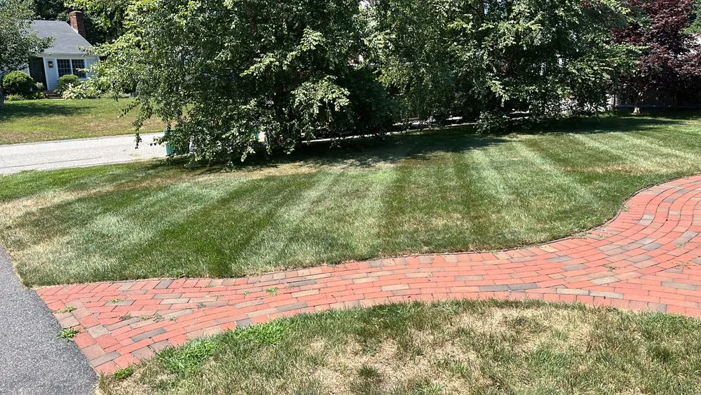Custom yard maintenance experts serving Marshfield, MA - Coelho Landscaping