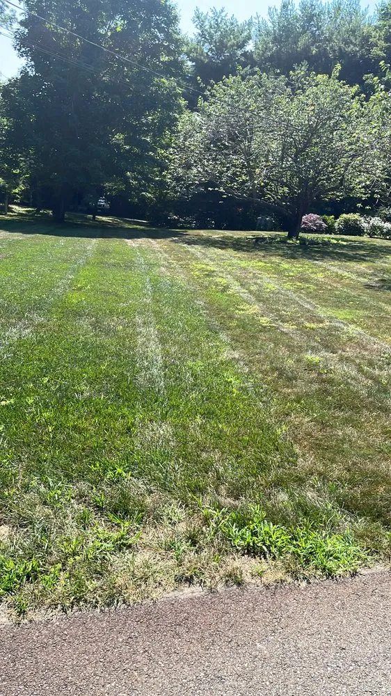 Affordable residential landscaping in Marshfield, MA - Coelho Landscaping