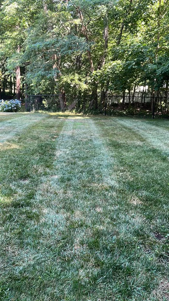 Trusted landscape installation for residential properties in Marshfield, MA by Coelho Landscaping