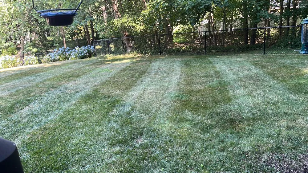 Affordable lawn mowing service experts serving Marshfield, MA - Coelho Landscaping