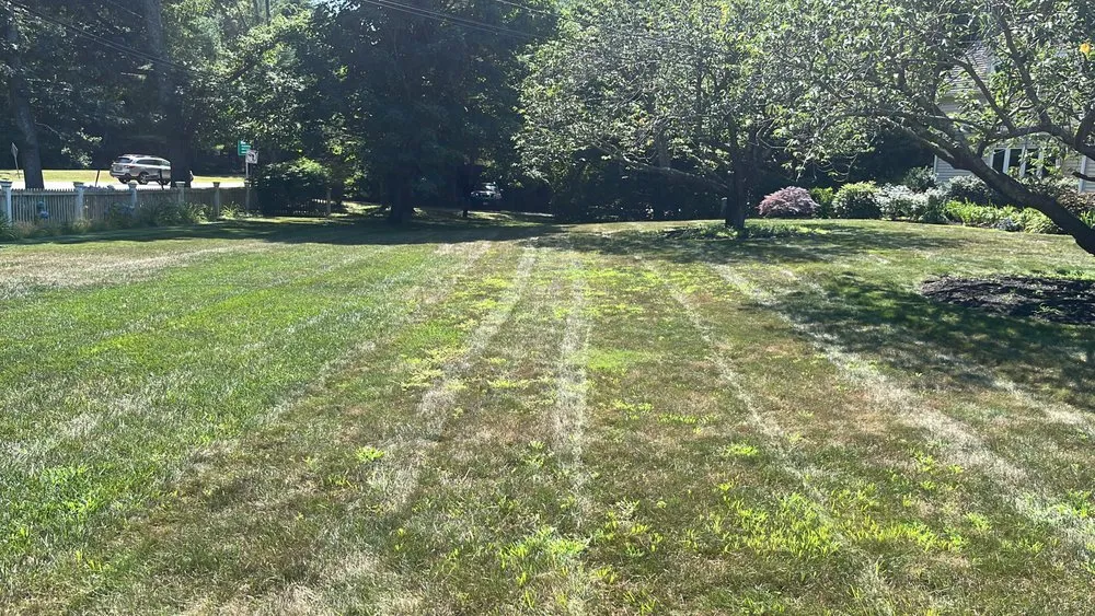 Custom outdoor landscaping in Marshfield, MA by Coelho Landscaping