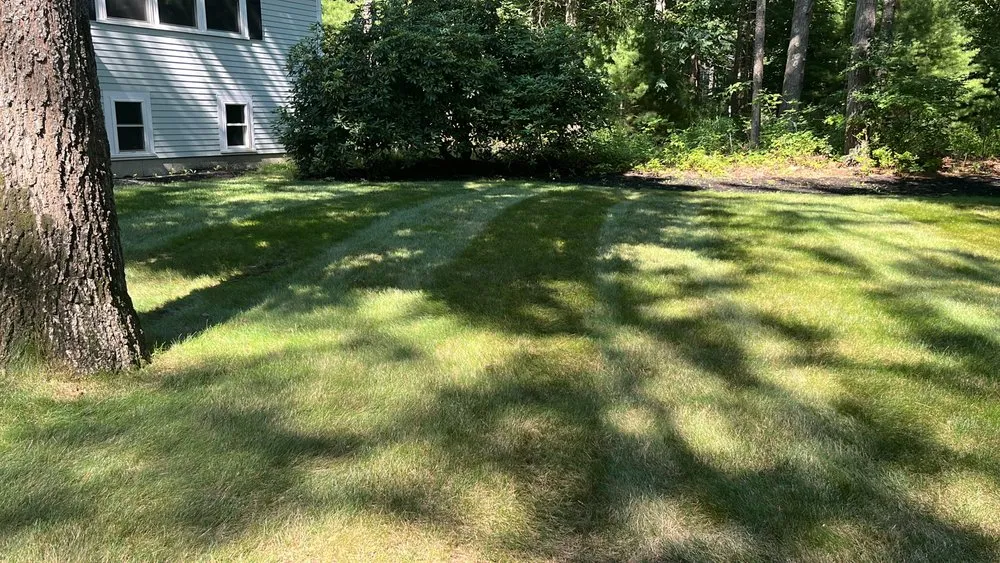 Top-rated garden landscaping experts serving Marshfield, MA - Coelho Landscaping