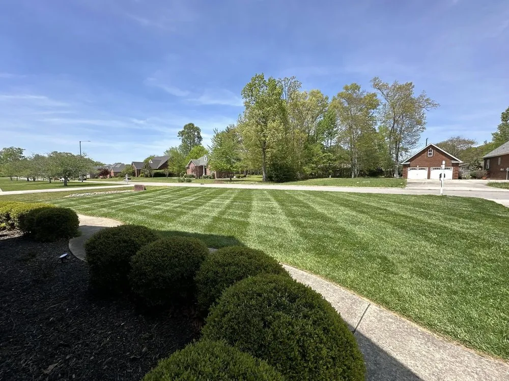 Top-rated lawn care service in Tullahoma, TN - Coffee Lawn and Landscapes