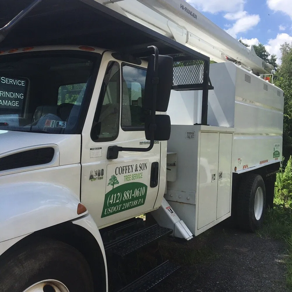 Professional yard maintenance for year-round maintenance across Castle Shannon, PA - Coffey & Son Tree Service