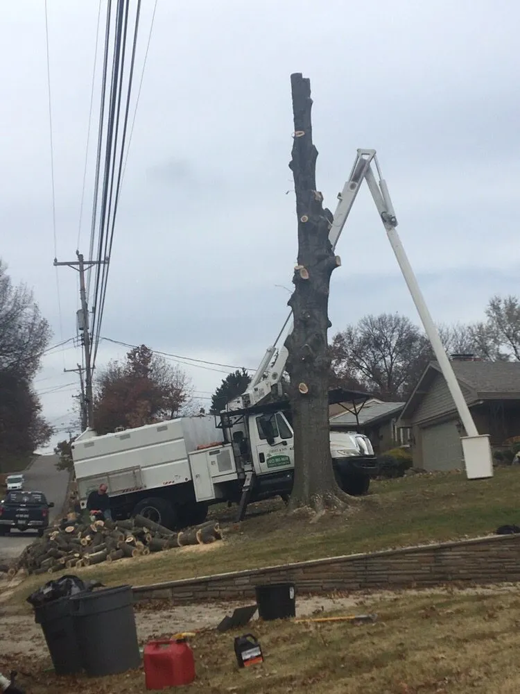 Professional garden landscaping with custom design in Castle Shannon, PA by Coffey & Son Tree Service