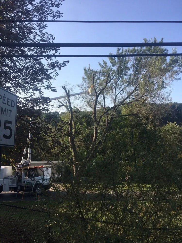 Professional garden landscaping with custom design across Castle Shannon, PA - Coffey & Son Tree Service