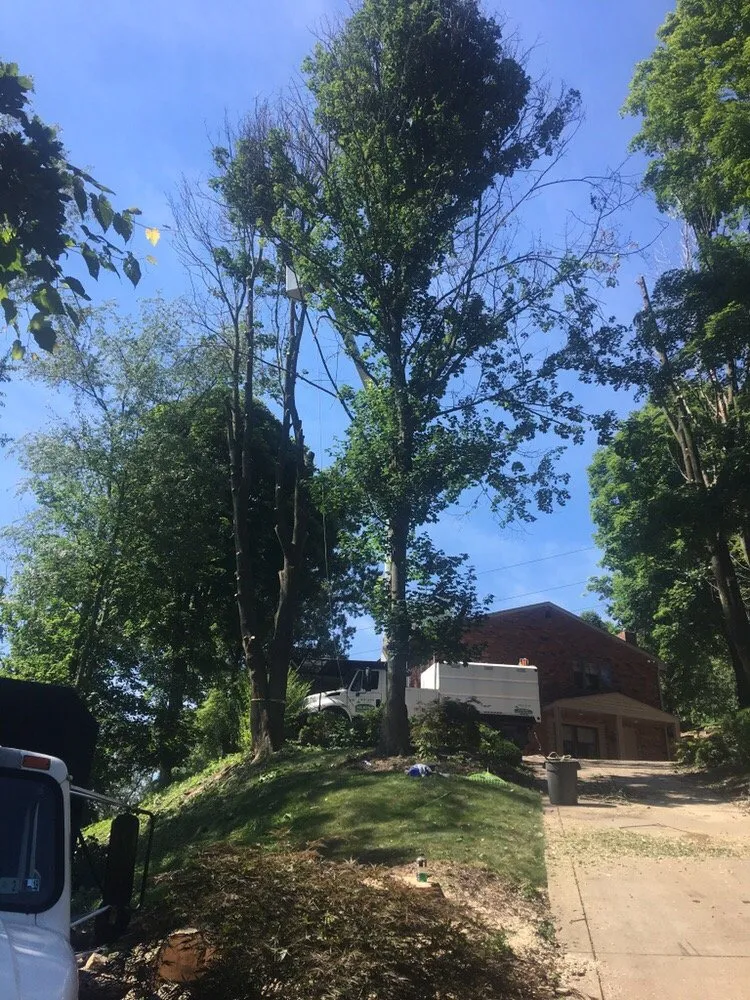 Trusted residential landscaping near you in Castle Shannon, PA by Coffey & Son Tree Service