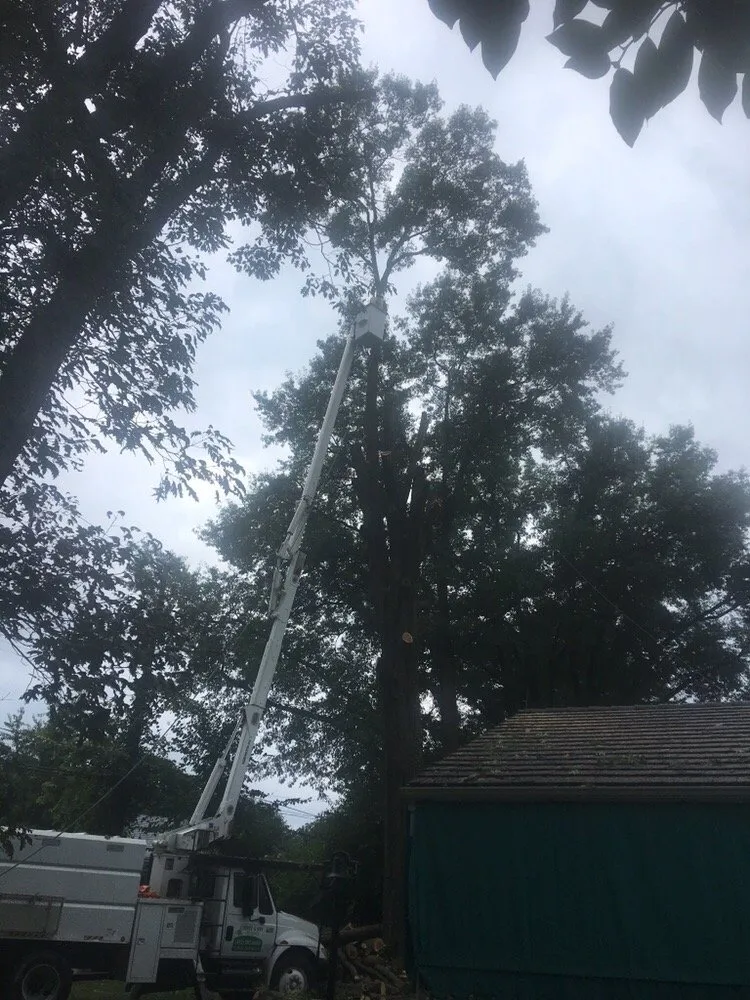 Expert garden landscaping in Castle Shannon, PA by Coffey & Son Tree Service