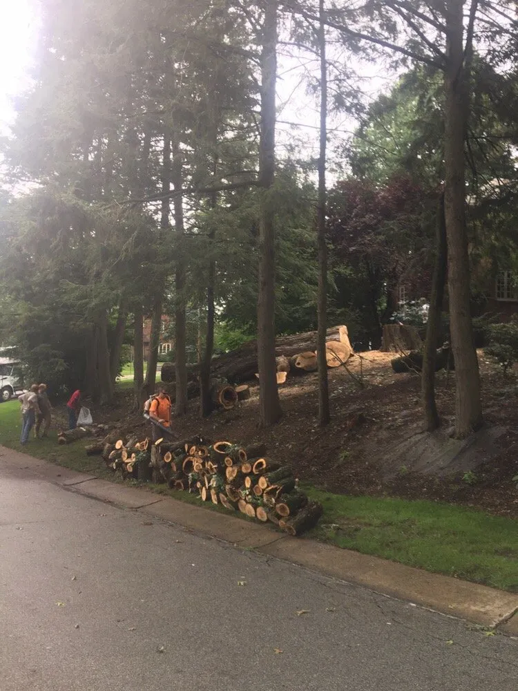 Professional landscape design for residential properties across Castle Shannon, PA - Coffey & Son Tree Service