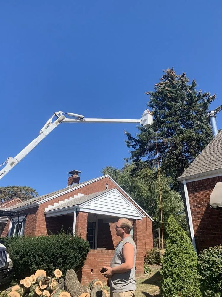 Top-rated yard cleanup service for outdoor upgrades across Castle Shannon, PA - Coffey & Son Tree Service