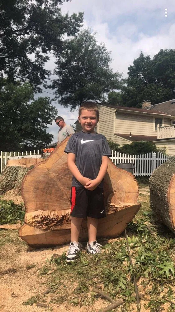 Affordable yard cleanup service in Castle Shannon, PA - Coffey & Son Tree Service