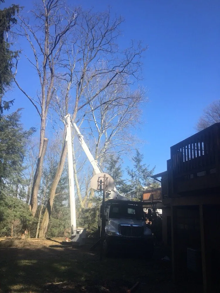 Reliable garden landscaping near you in Castle Shannon, PA by Coffey & Son Tree Service