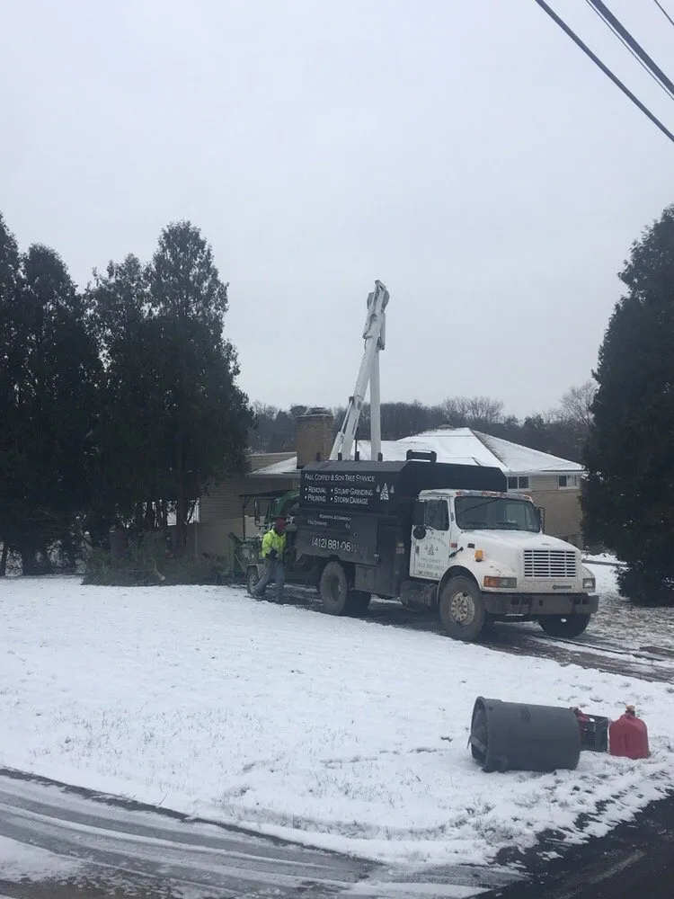 Top-rated landscape design in Castle Shannon, PA by Coffey & Son Tree Service