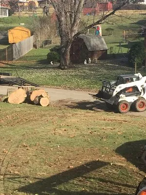 Coffey & Son Tree Service