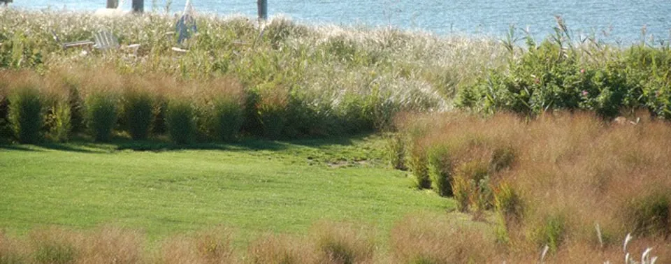 Trusted yard maintenance in Southold, NY - Coffey Timothy Nursery