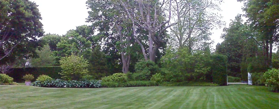 Trusted lawn care service in Southold, NY - Coffey Timothy Nursery