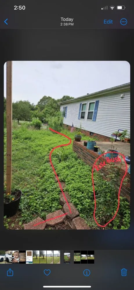 Expert outdoor landscaping in Lawndale, NC - Coffey’s Lawncare & Tree Service
