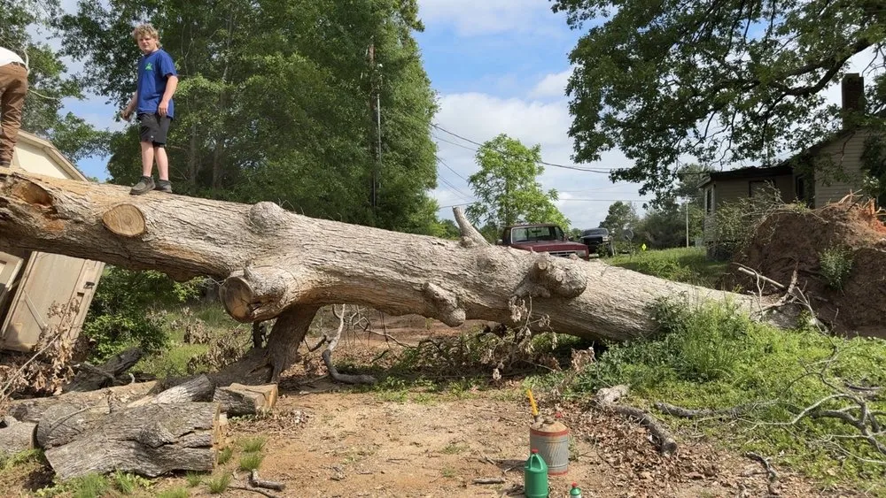 Affordable garden landscaping near you in Lawndale, NC by Coffey’s Lawncare & Tree Service