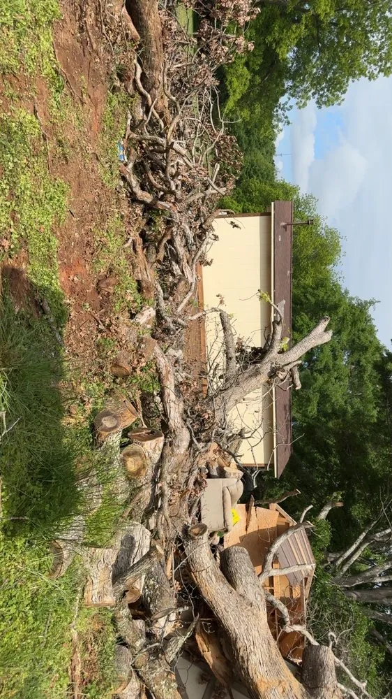 Professional yard cleanup service in Lawndale, NC by Coffey’s Lawncare & Tree Service
