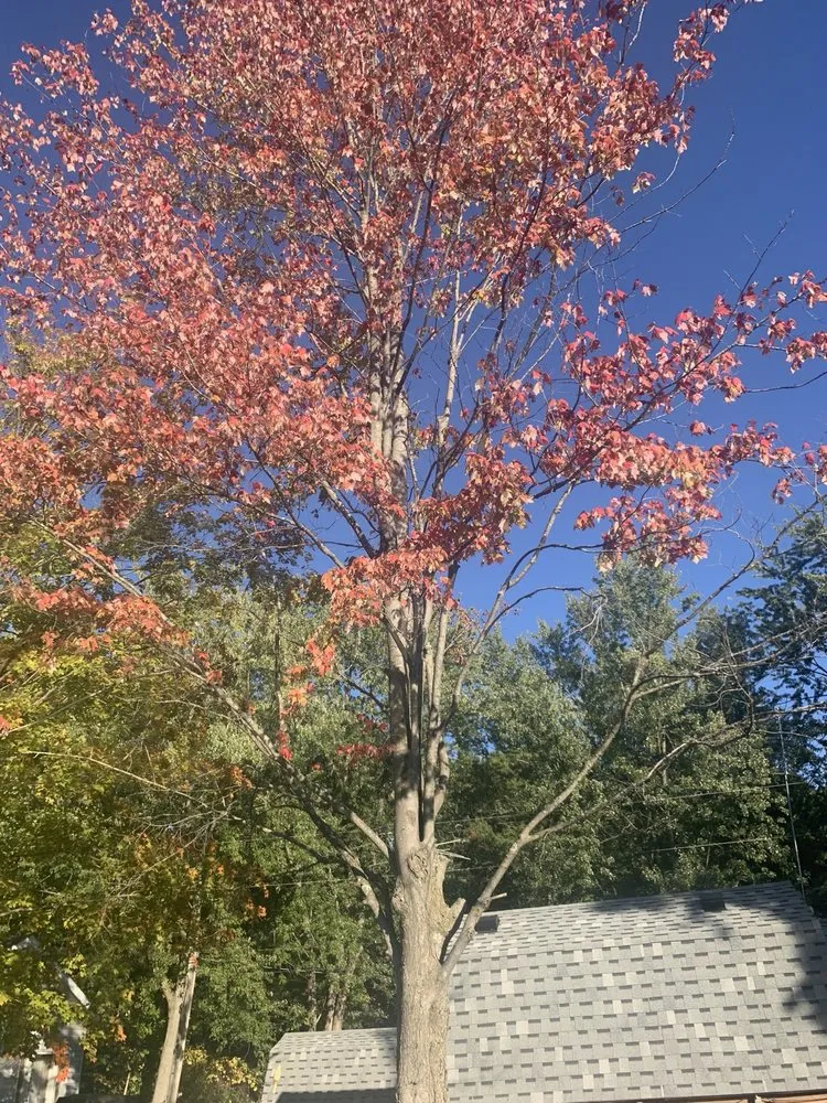 Affordable yard maintenance experts serving Coldwater, MI - Coffey’s Outdoor Services