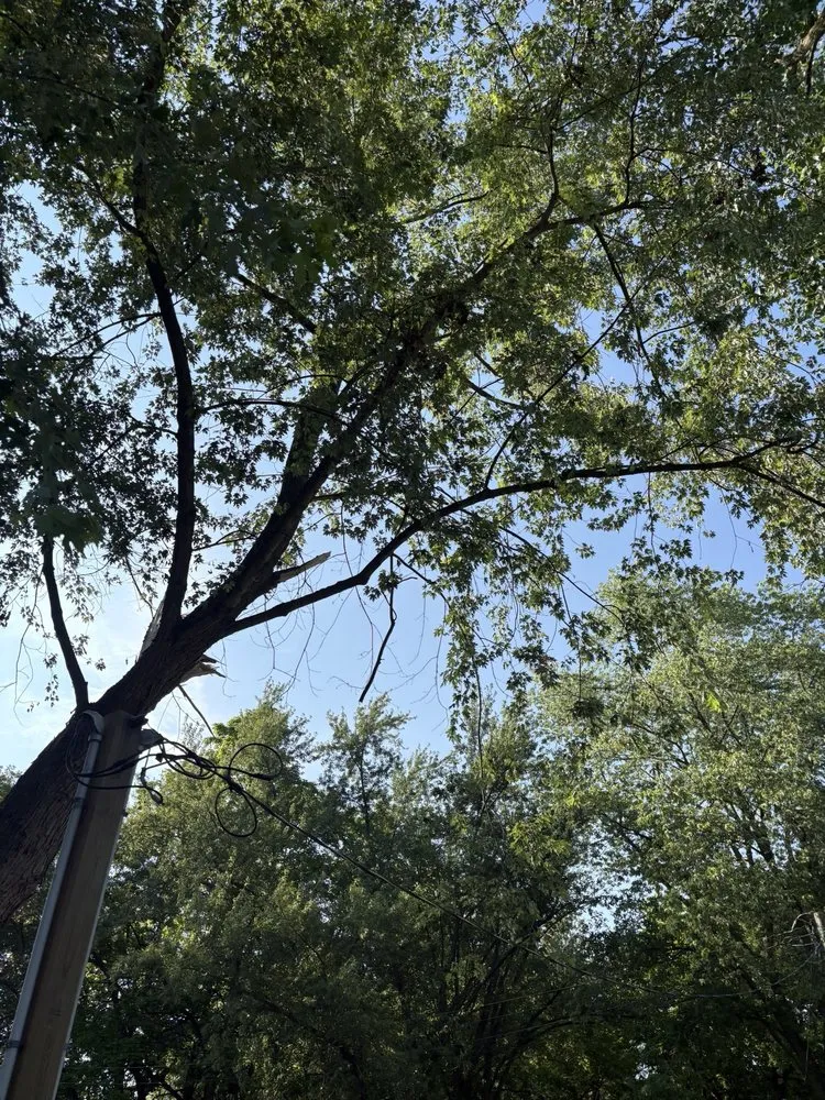 Professional landscaping services in Coldwater, MI - Coffey’s Outdoor Services