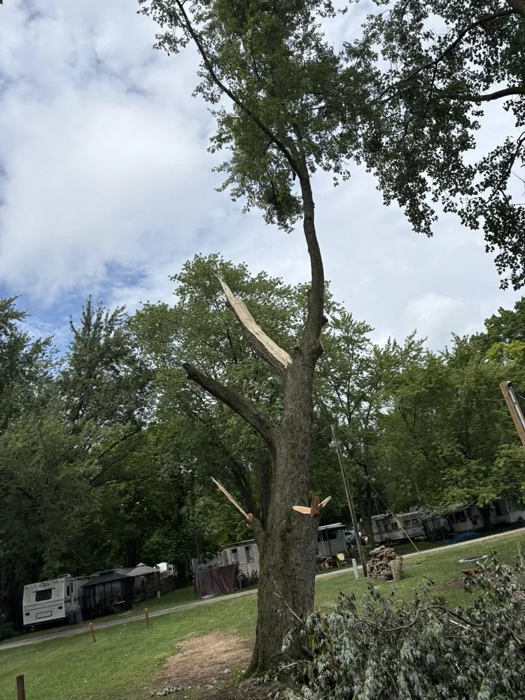 Professional lawn mowing service in Coldwater, MI - Coffey’s Outdoor Services