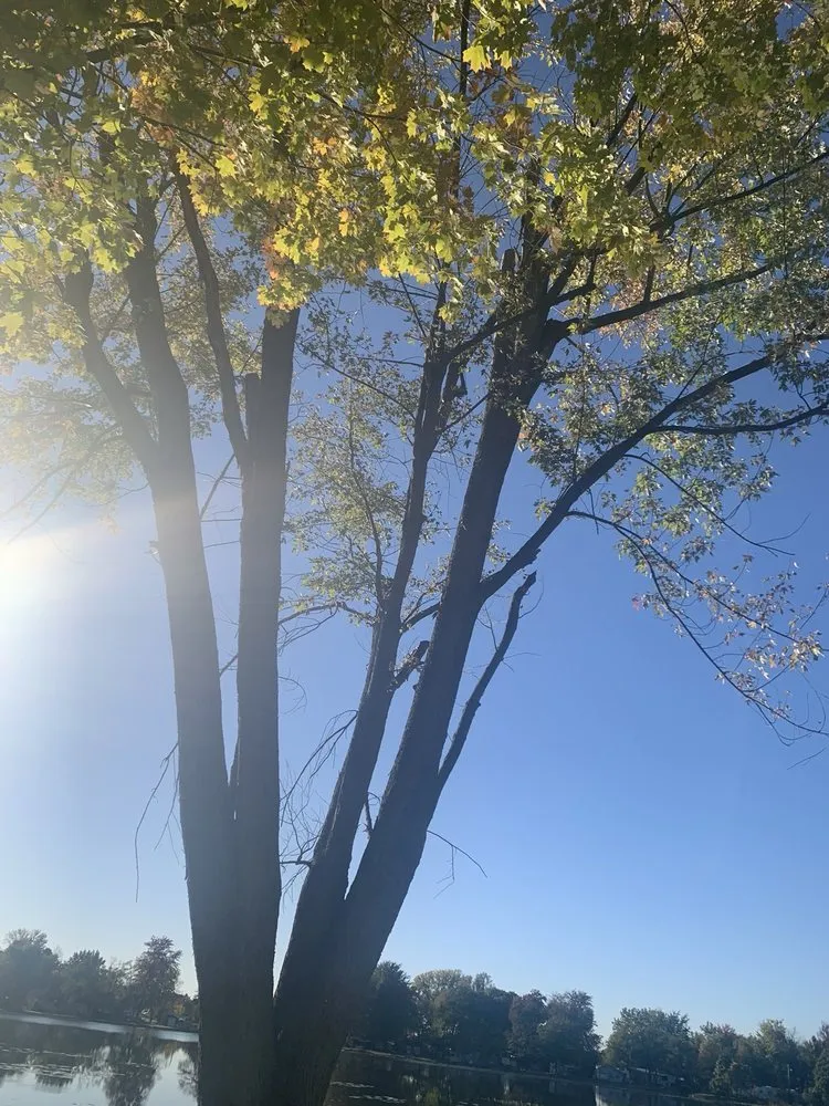 Top-rated residential landscaping in Coldwater, MI - Coffey’s Outdoor Services