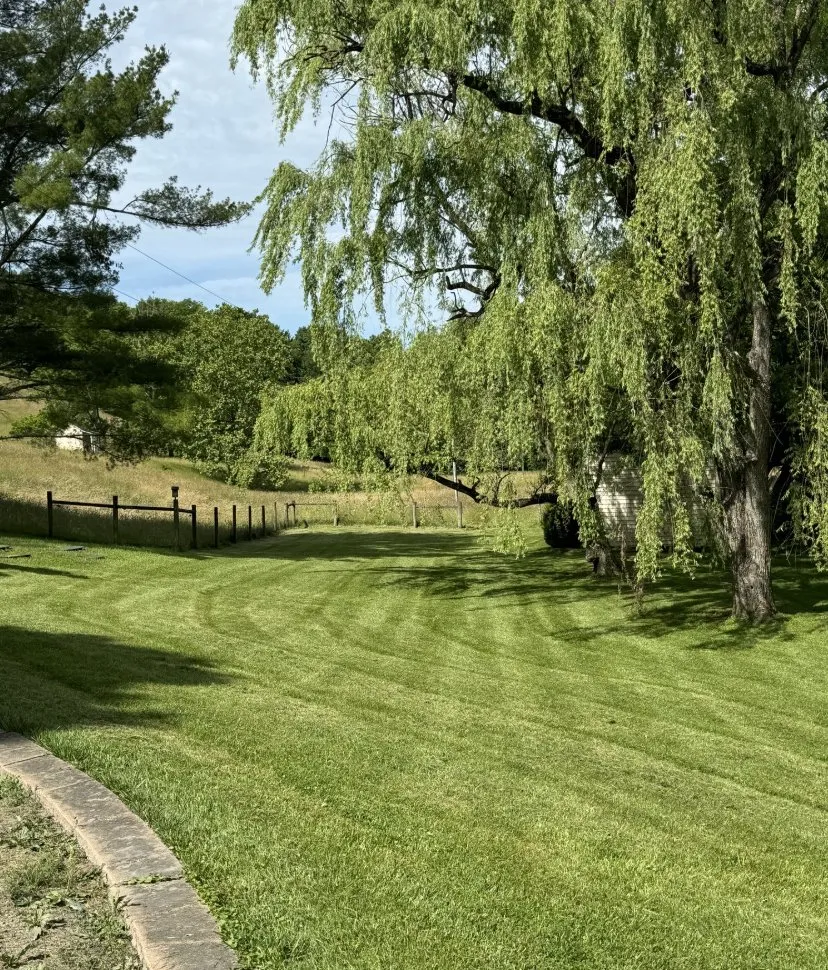 Trusted yard maintenance in Staunton, VA by Coffman’s Lawn Solutions