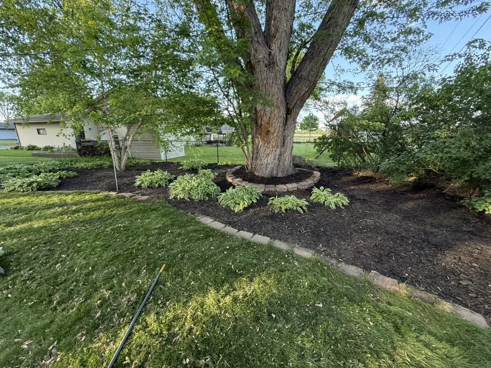 Top-rated lawn mowing service in Maple Grove, MN by Cogers Landscaping