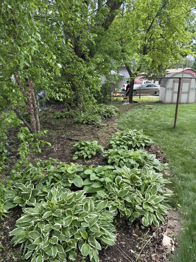 Expert landscape installation for homes in Maple Grove, MN by Cogers Landscaping