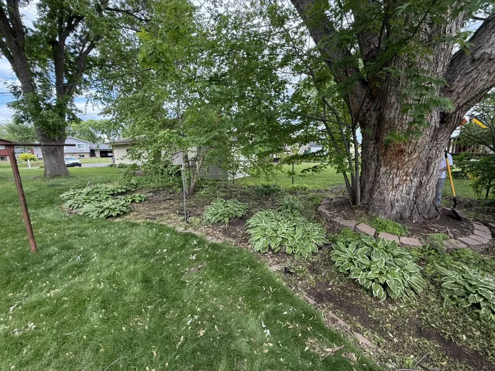 Top-rated landscape installation near you in Maple Grove, MN by Cogers Landscaping