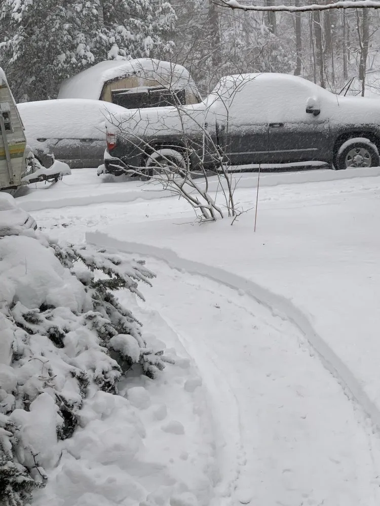 Reliable yard cleanup service in East Stroudsburg, PA by Cohen & Son’s Lawn Care and Maintenance