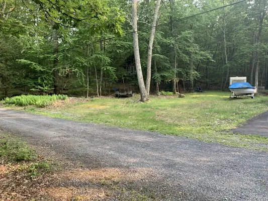 Cohen & Son’s Lawn Care and Maintenance