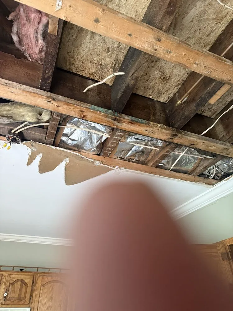 Affordable landscape design experts serving Hudson, NY - Cohens Works