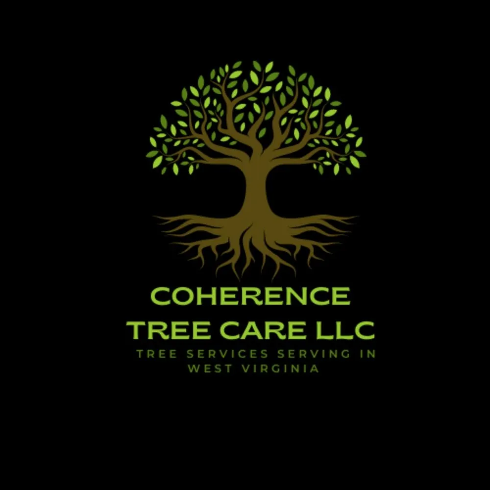 Custom lawn mowing service experts serving Keyser, WV - Coherence Tree Care