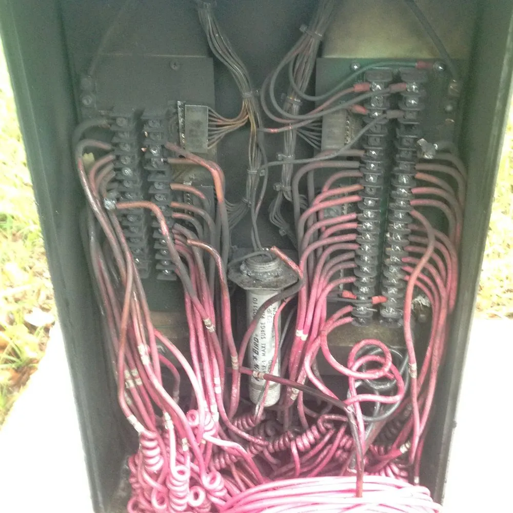 Professional lawn care service for outdoor upgrades across Georgetown, TX - Cohill Home and Landcare Services