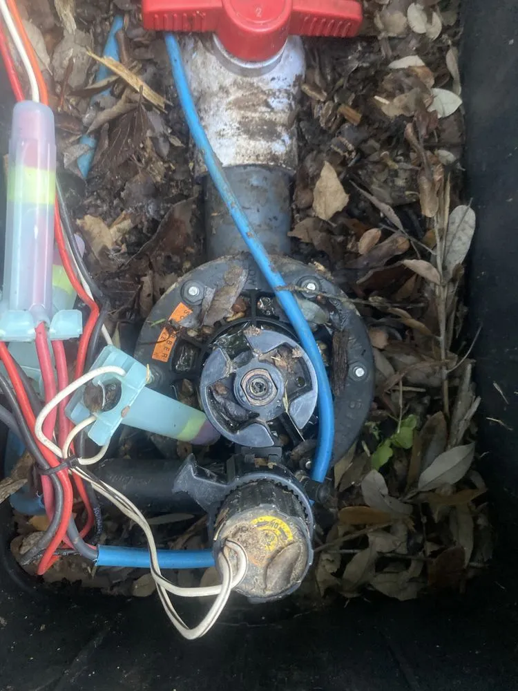 Reliable landscape design for beautiful yards across Georgetown, TX - Cohill Home and Landcare Services