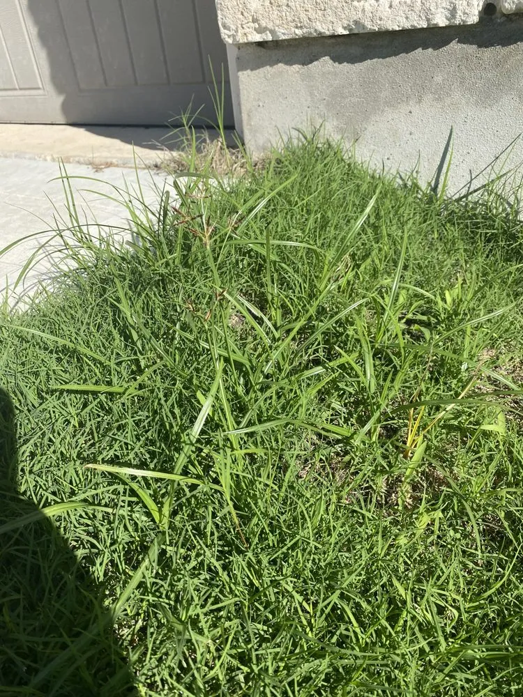 Trusted residential landscaping experts serving Georgetown, TX - Cohill Home and Landcare Services