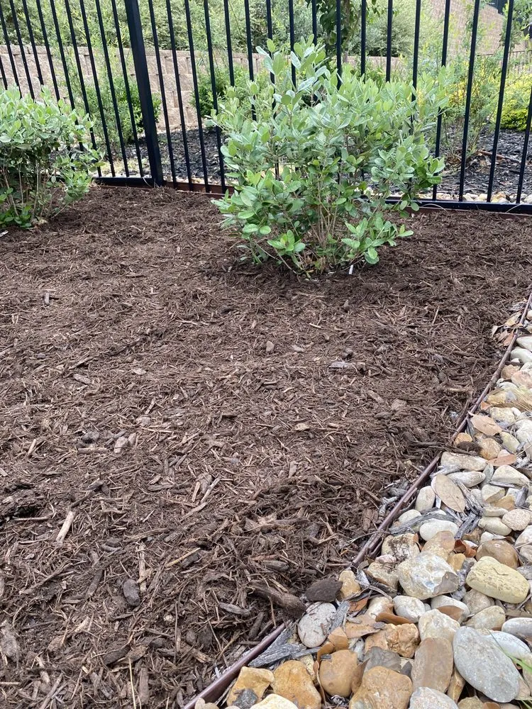 Top-rated landscape installation for homes in Georgetown, TX by Cohill Home and Landcare Services