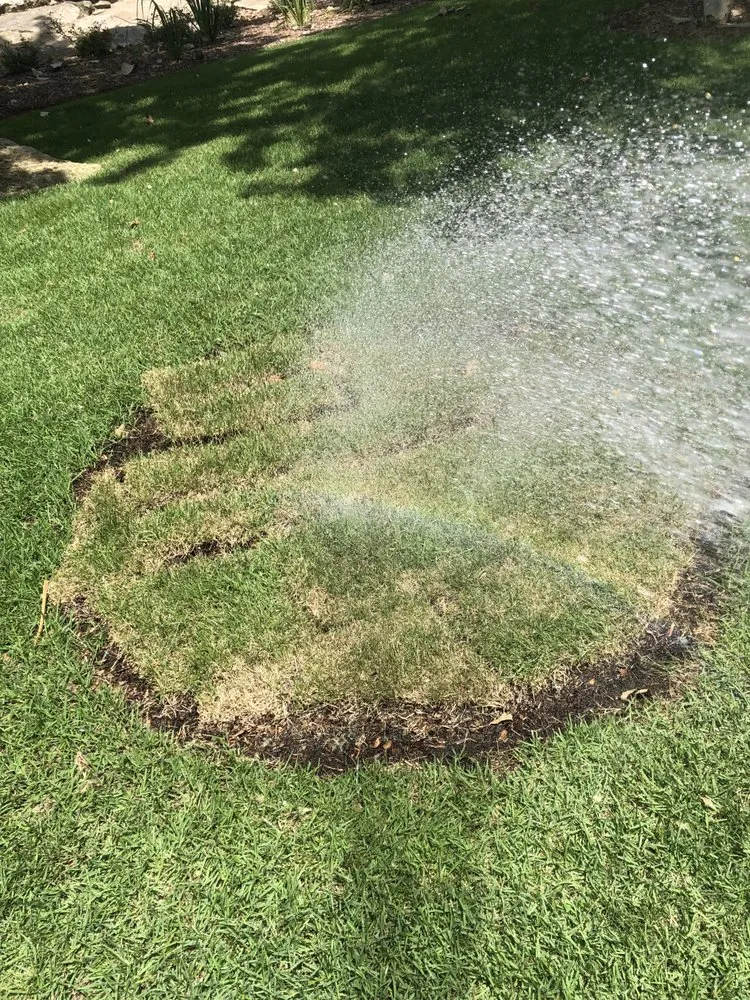 Reliable outdoor landscaping experts serving Georgetown, TX - Cohill Home and Landcare Services