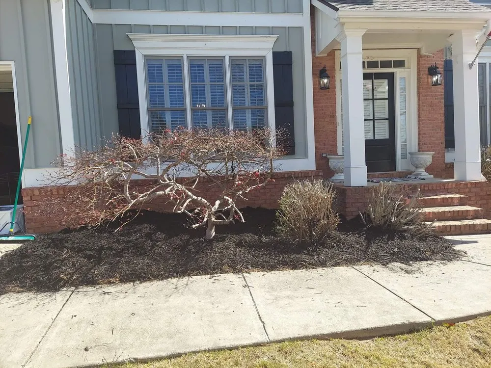 Professional residential landscaping near you across Wiggins, MS - Cokers Pressure Washing plus