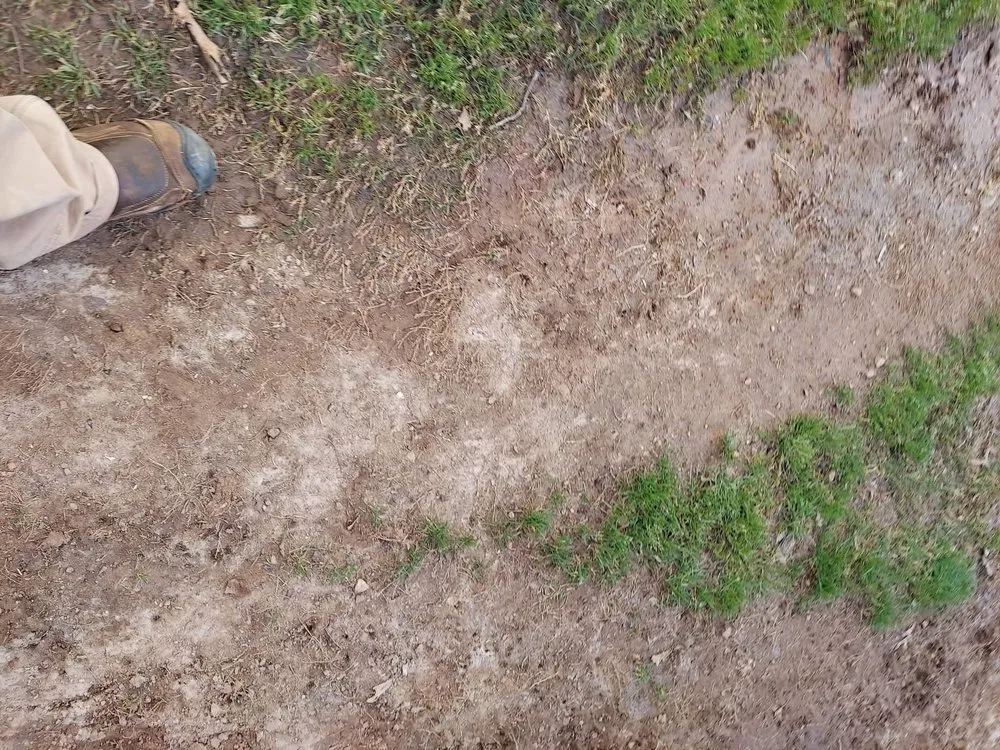 Reliable lawn care service with custom design across Wiggins, MS - Cokers Pressure Washing plus