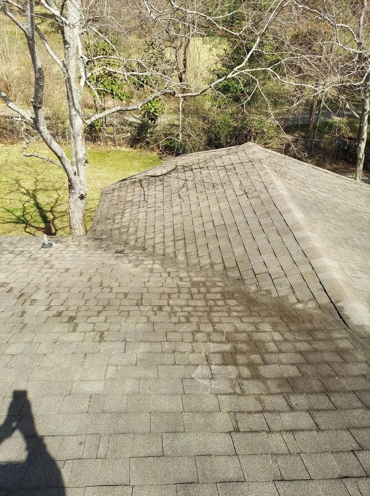 Local landscaping services experts serving Wiggins, MS - Cokers Pressure Washing plus