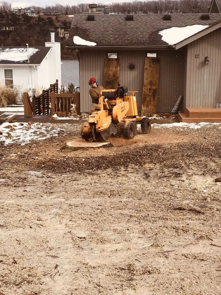 Top-rated landscaping services in Osage Beach, MO - Col-Yer Tree Care
