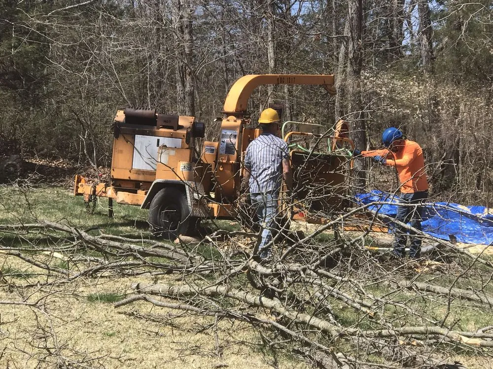 Local lawn mowing service experts serving Osage Beach, MO - Col-Yer Tree Care
