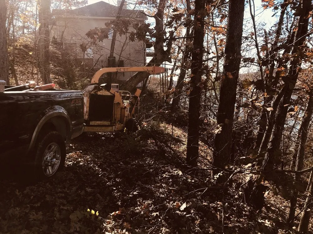 Local yard maintenance for outdoor upgrades across Osage Beach, MO - Col-Yer Tree Care