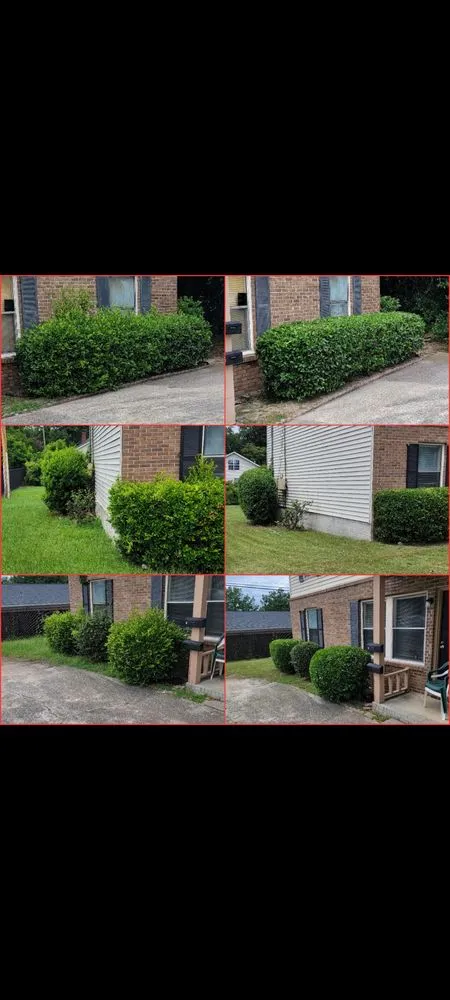 Top-rated landscape design for year-round maintenance across Irmo, SC - Cola City Landscaping & Lawn Care