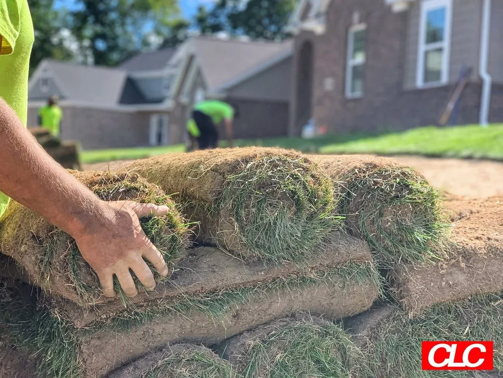 Expert lawn mowing service for residential properties in Ann Arbor, MI by Colarossi Lawn Care