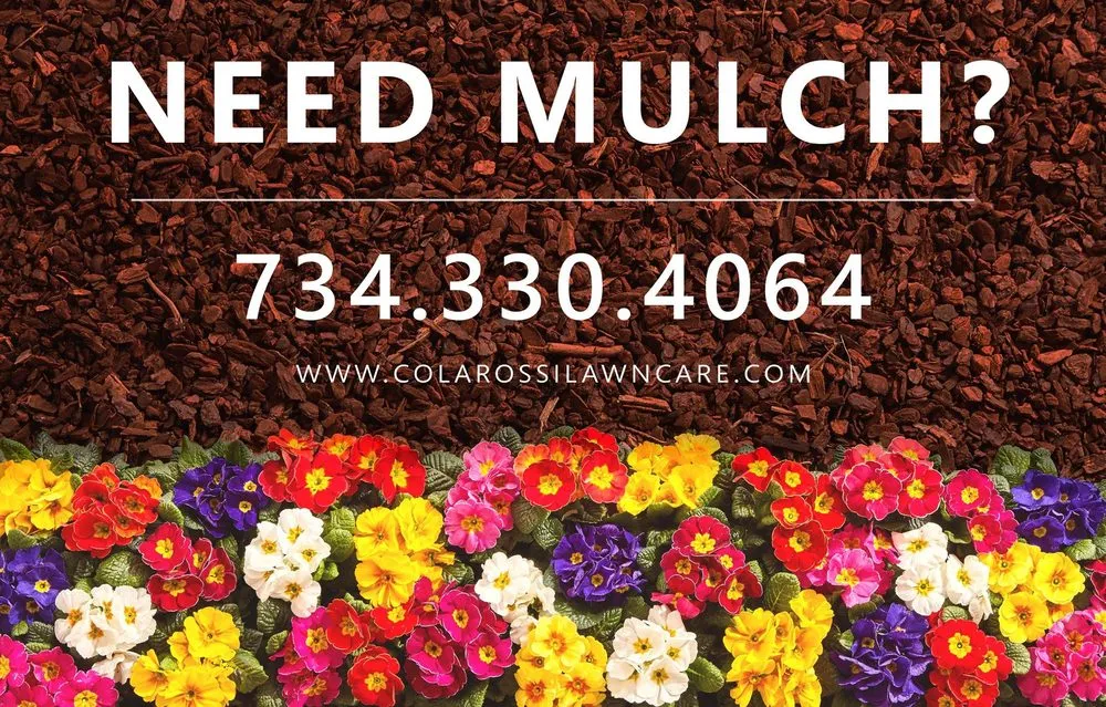 Custom garden landscaping in Ann Arbor, MI - Colarossi Lawn Care