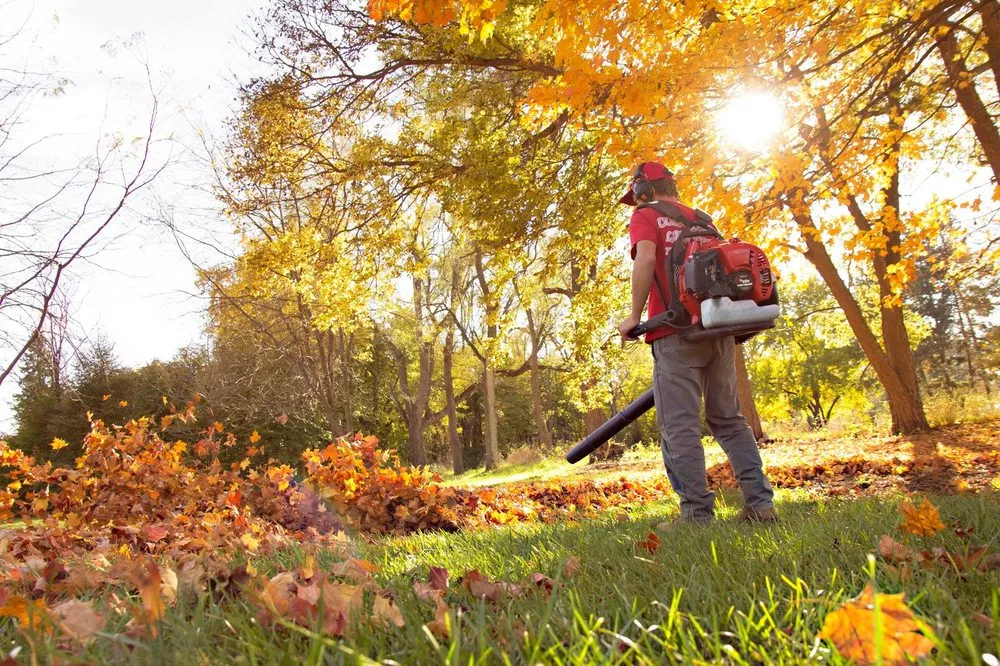 Local outdoor landscaping near you in Ann Arbor, MI by Colarossi Lawn Care